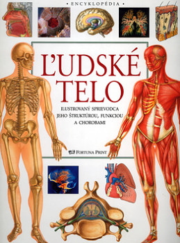 Ľudské telo