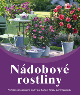 Nádobové rostliny