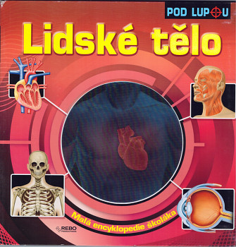 Lidské tělo