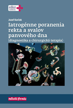 Iatrogénne poranenia rekta a svalov panvového dna (diagnostika a chirurgická terapia)