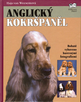 Anglický kokršpaněl