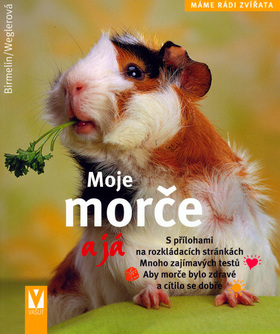 Moje morče a já