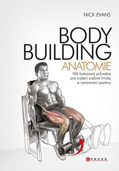 Bodybuilding Anatomie