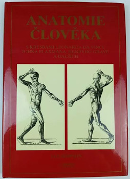 Anatomie člověka